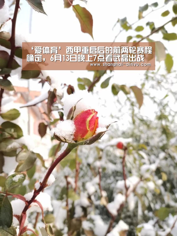 ‘爱体育’西甲重启后的前两轮赛程确定,6月13日晚上7点看武磊出战阿拉维斯(图3) 爱体育